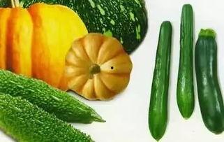 吃瓜网在哪下,吃瓜网在哪下，带你轻松追踪热门资讯