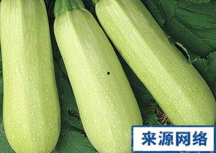 吃瓜网番瓜,揭秘吃瓜网上的热门话题与幕后故事